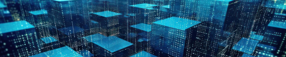 Software and Infrastructure Services