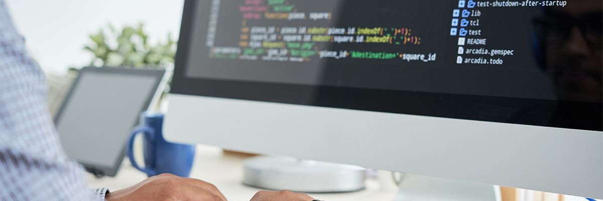 The Critical Role of Software Infrastructure in International Trade The Critical Role of Software Infrastructure in International Trade