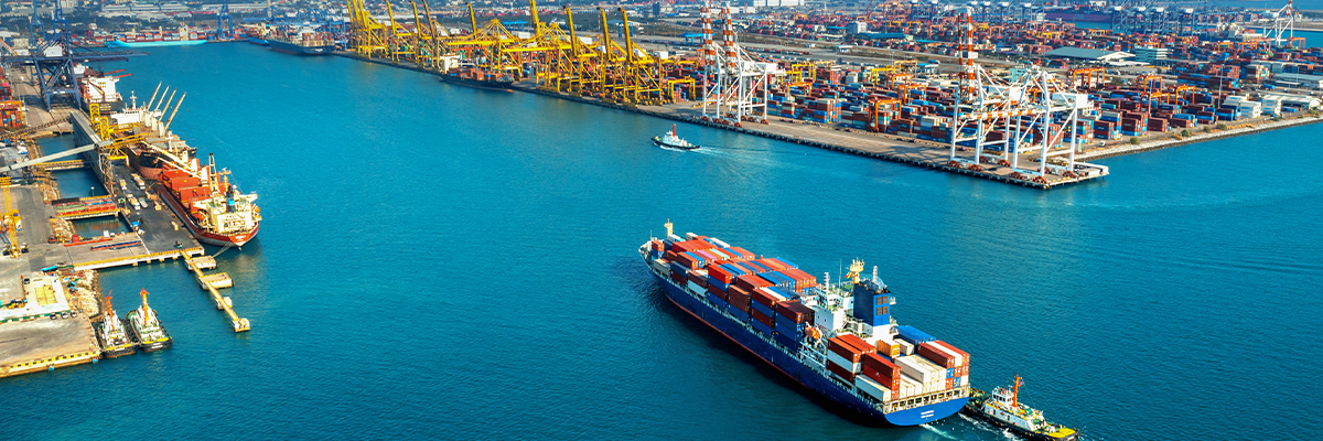 The Customs Consultancy The Customs Consultancy