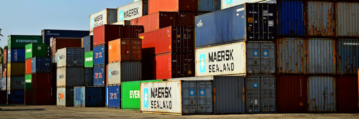 The Future of Export and Import The Future of Export and Import